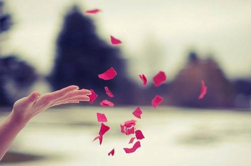 55 Best Life Lesson Quotes i have heard in my Life