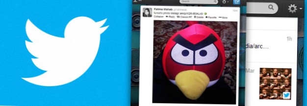 Chrome-Erweiterungen zum Anzeigen von Twitter-Bildern