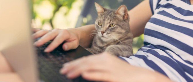 Jak pisać na telefonie iPhone z komputera z systemem Windows 10