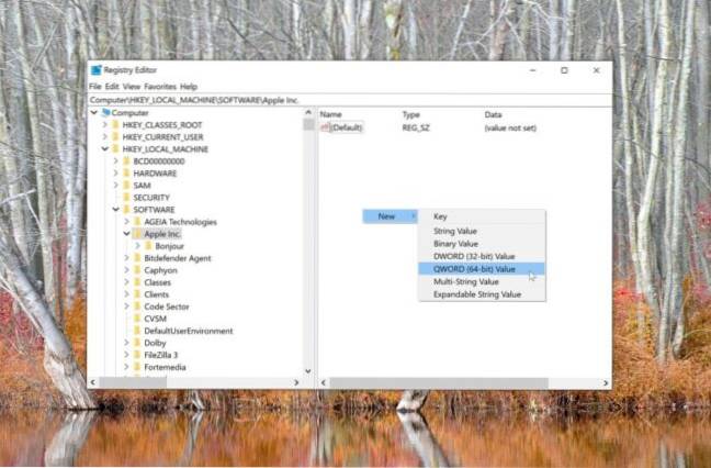 Diferența dintre DWORD și QWORD în registrul Windows