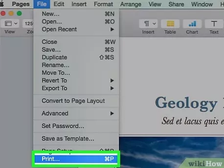 So konvertieren Sie Mac .Seitenformat in .JPEG