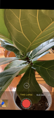 como fazer um vídeo de lapso de tempo com o telefone