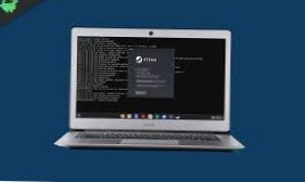Hur man spelar Steam-spel på Chrome OS med Linux-support
