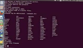 Sådan bruges FTP fra kommandolinjen på Linux