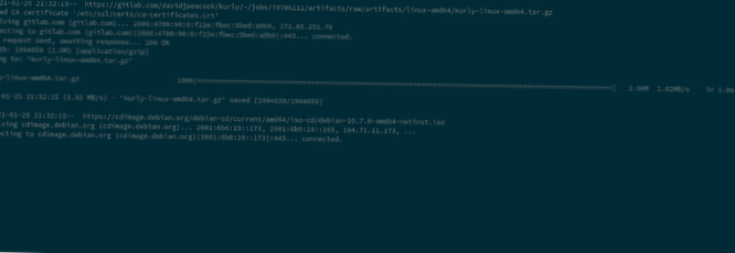 Plik do pobrania dla systemu Linux z adresu URL w terminalu [przewodnik]