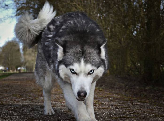 Mitos sobre o Windows 7