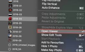 spacebar not pausing video mac