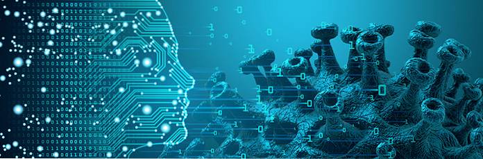 Pesquisador de IA acredita que pode ser um desastre para a humanidade, mas tem uma solução