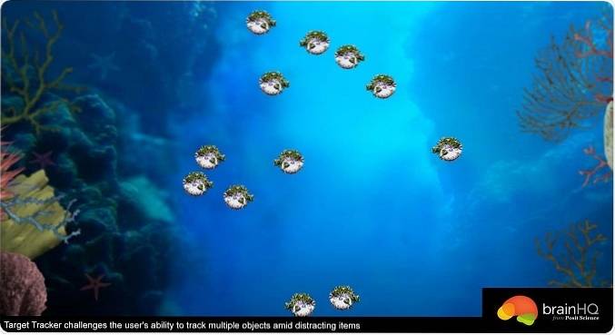 Aplicațiile de formare a creierului funcționează cu adevărat?