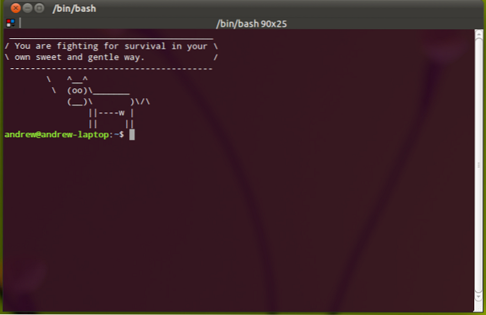 How to Customize the Terminal in Ubuntu
