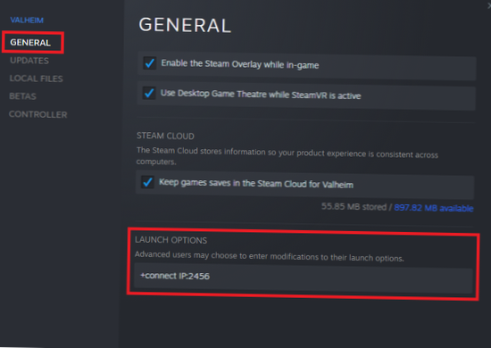 zástupce serveru Valheim
