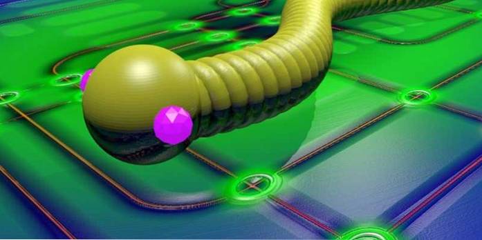 What Computer Worms Are and Why They're Still Dangerous