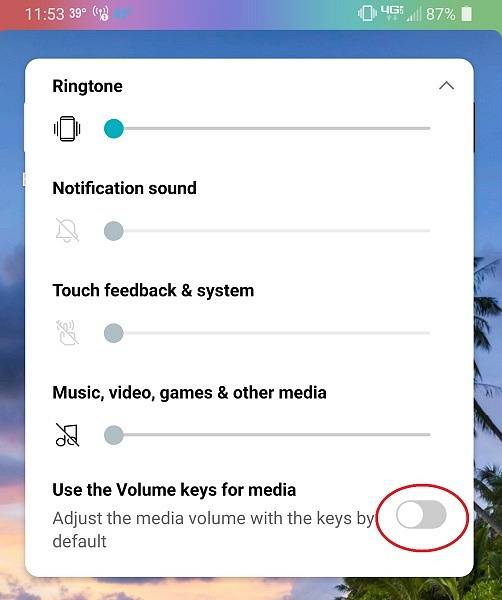 How to Block the Volume Buttons on Android