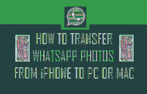 eksporter whatsapp media fra iphone til pc