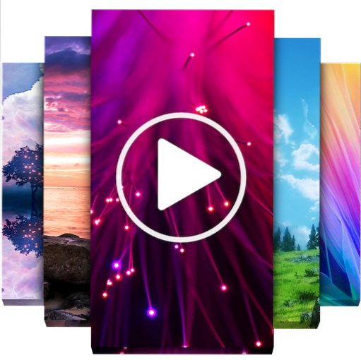 video achtergrond