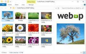 codec webp pentru Windows 10
